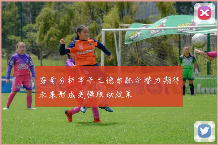 芬奇分析华子兰德尔配合潜力期待未来形成更强联动效果