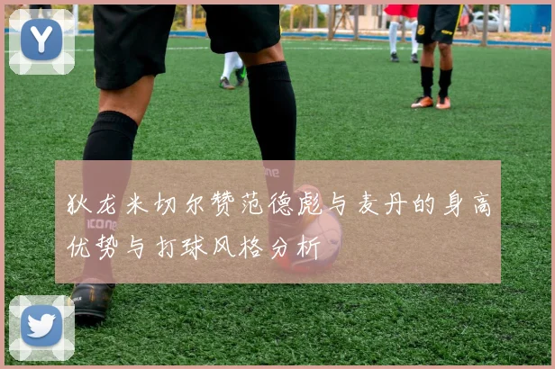 狄龙米切尔赞范德彪与麦丹的身高优势与打球风格分析